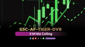 GSC-AF-TIGER-DV8 ราคาชน Ceiling