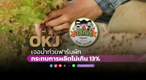 OKJ เจอน้ำท่วมฟาร์มผัก กระทบการผลิตแค่ 13%