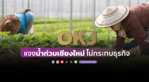 OKJ แจงน้ำท่วมเชียงใหม่ ไม่กระทบธุรกิจ