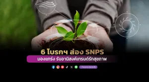 6 โบรก ส่อง SNPS มองแกร่ง รับอานิสงค์เทรนด์รักสุขภาพ