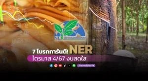 7 โบรกการันตี!NER ไตรมาส4/67งบสดใส