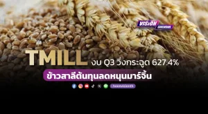 [Vision Exclusive] TMILL งบ Q3 วิ่งกระฉูด 627.4% ข้าวสาลีต้นทุนลดหนุนมาร์จิ้น