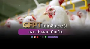 GFPT ไก่โกอินเตอร์! ยอดส่งออกเกินเป้า